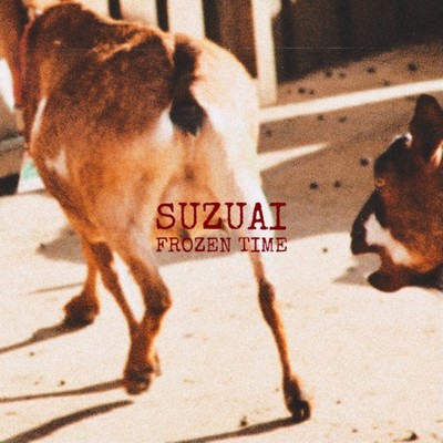 Frozen Time Front Cover