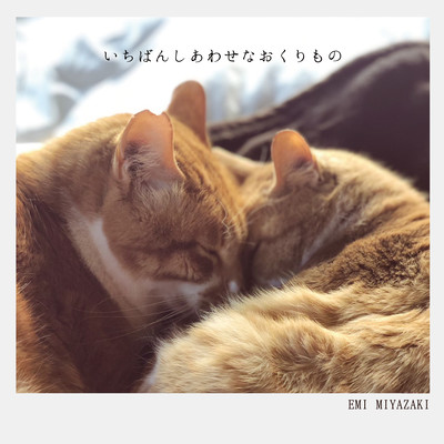 いちばんしあわせなおくりもののジャケット写真