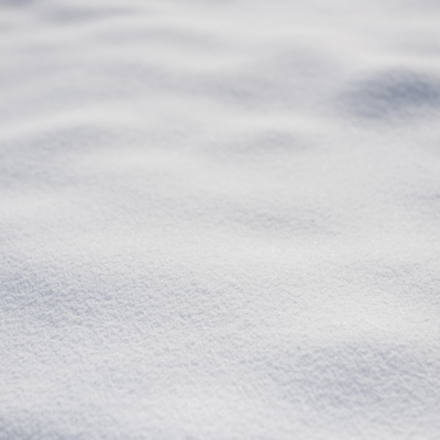 SNOW Front Cover