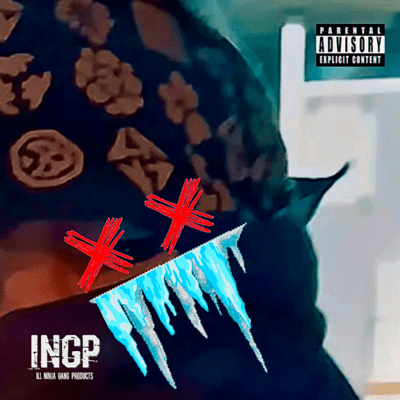 BAD ILL NINJA Front Cover