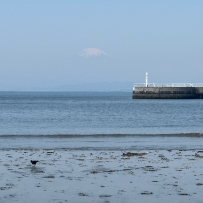 いつか海辺までのジャケット写真