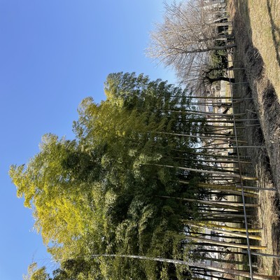 大事な時間のジャケット写真