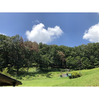 Summer Memories Front Cover