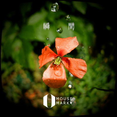 瞬間のジャケット写真