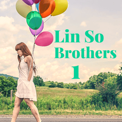 Ln So Brothers 1 Front Cover