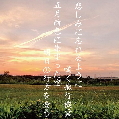 kanasimiwasureruyouninagekuhikoukigumo samidareironisomaltutasora asunoyukuewoureu Front Cover