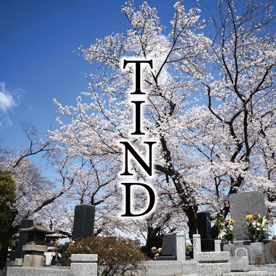 TINDのジャケット写真