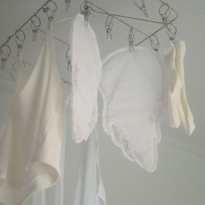 Where is my star? Front Cover