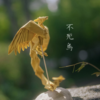 不死鳥のジャケット写真