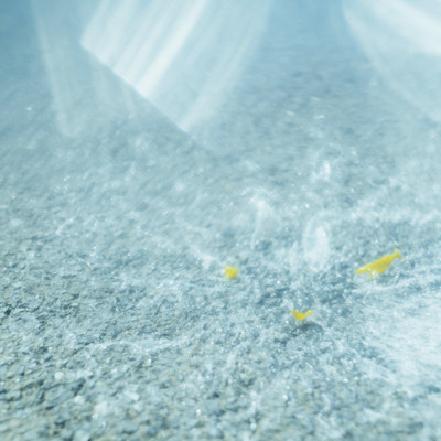 MOMENTUMのジャケット写真