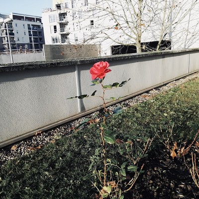 いいんだよのジャケット写真