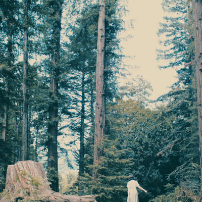 NOVA Front Cover