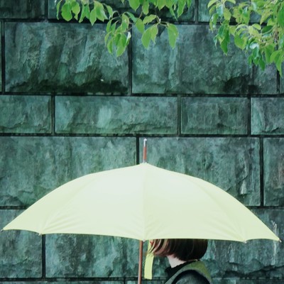セツナのジャケット写真