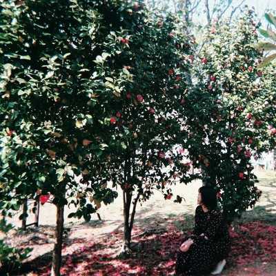 眠れないのジャケット写真