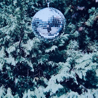 St. Bernard Front Cover