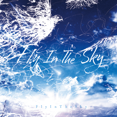 Fly in the sky Front Cover