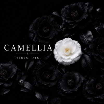 Camellia Front Cover