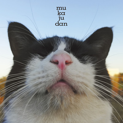 Madoromu Front Cover