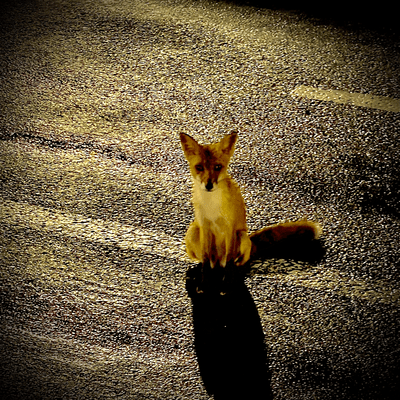 boring (feat. TEN) Front Cover