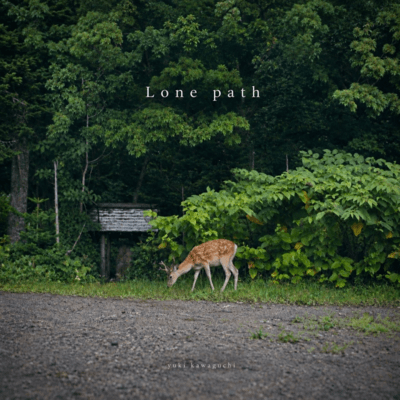 Lone path Front Cover