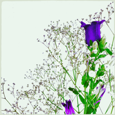 The Hill (reface) Front Cover