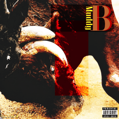 B Front Cover