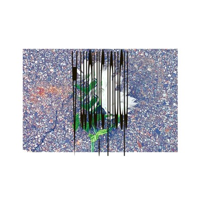 A manic lunch Front Cover