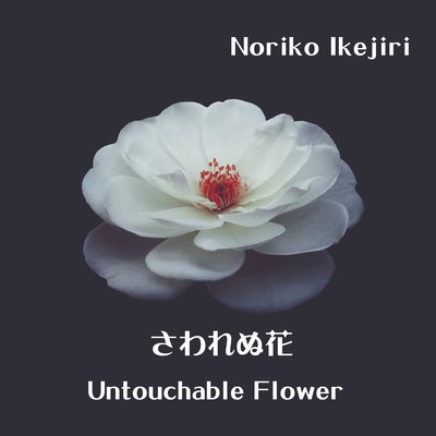 さわれぬ花のジャケット写真