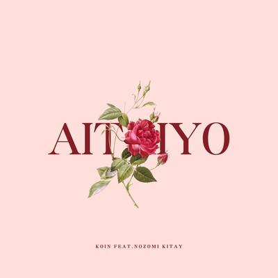 AITAIYO (feat. Nozomi Kitay)のジャケット写真