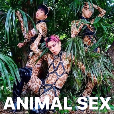 Animal Sex Front Cover