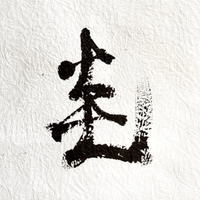 炎をさらって (feat. 根のシン)のジャケット写真