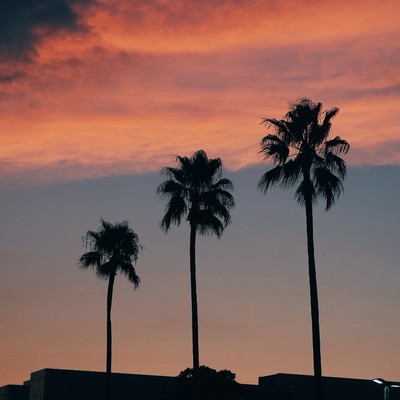 Summer Breeze Front Cover