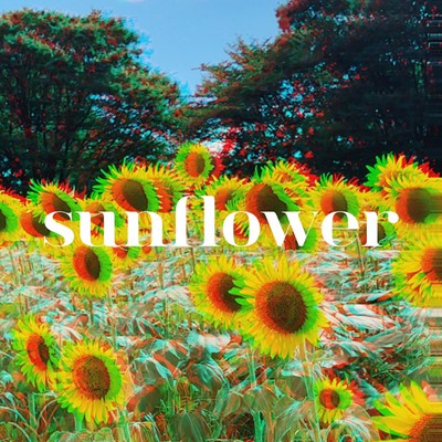 Sunflower Front Cover