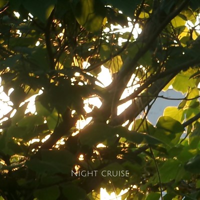 Night cruise Front Cover