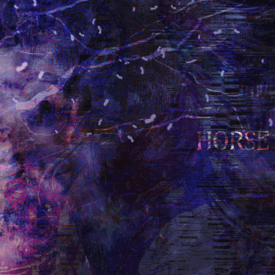 HORSE Front Cover