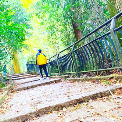 五月病のジャケット写真