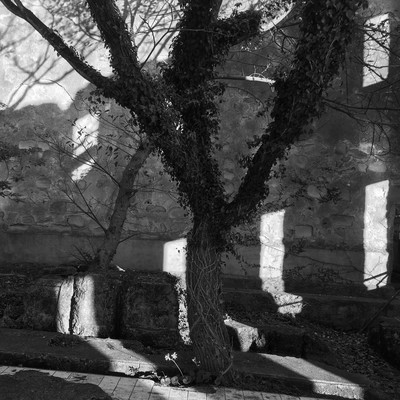 Ley Line Front Cover