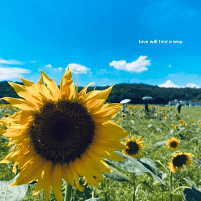 道: love will find a wayのジャケット写真