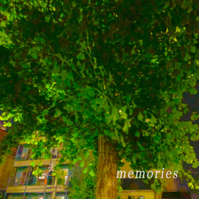 memories Front Cover