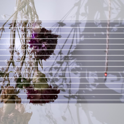 短絡線のジャケット写真