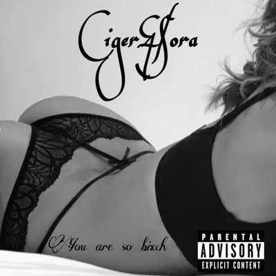 You are so bitch (Remix)のジャケット写真