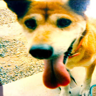 9 to 6 workingのジャケット写真