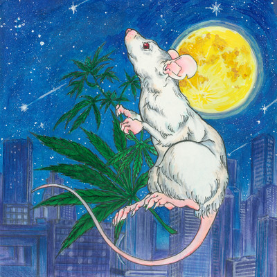 High Rat β Front Cover