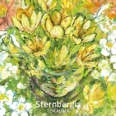 Sternbergia Front Cover
