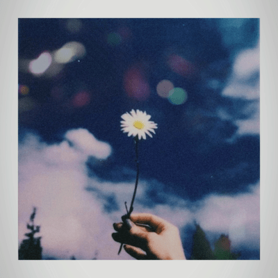 I can't say Front Cover