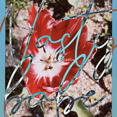 Nasty babe Front Cover