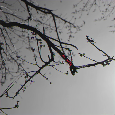 MY HEROのジャケット写真