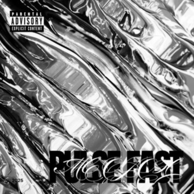 PULSE FASTのジャケット写真