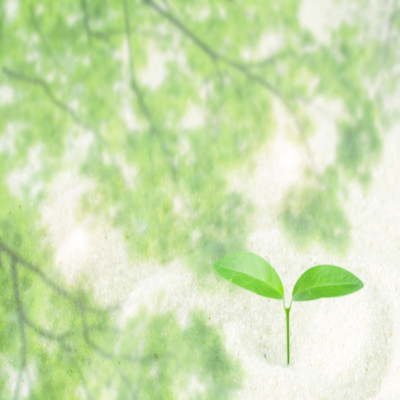 A foreboding of a new world Front Cover