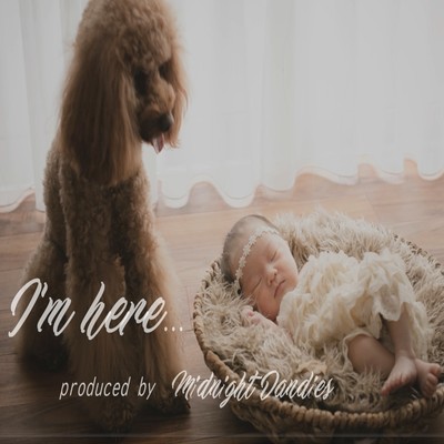 I'm here... Front Cover